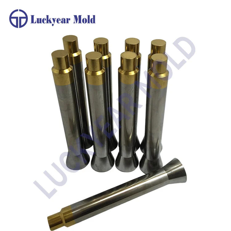 De functie van schimmelpons